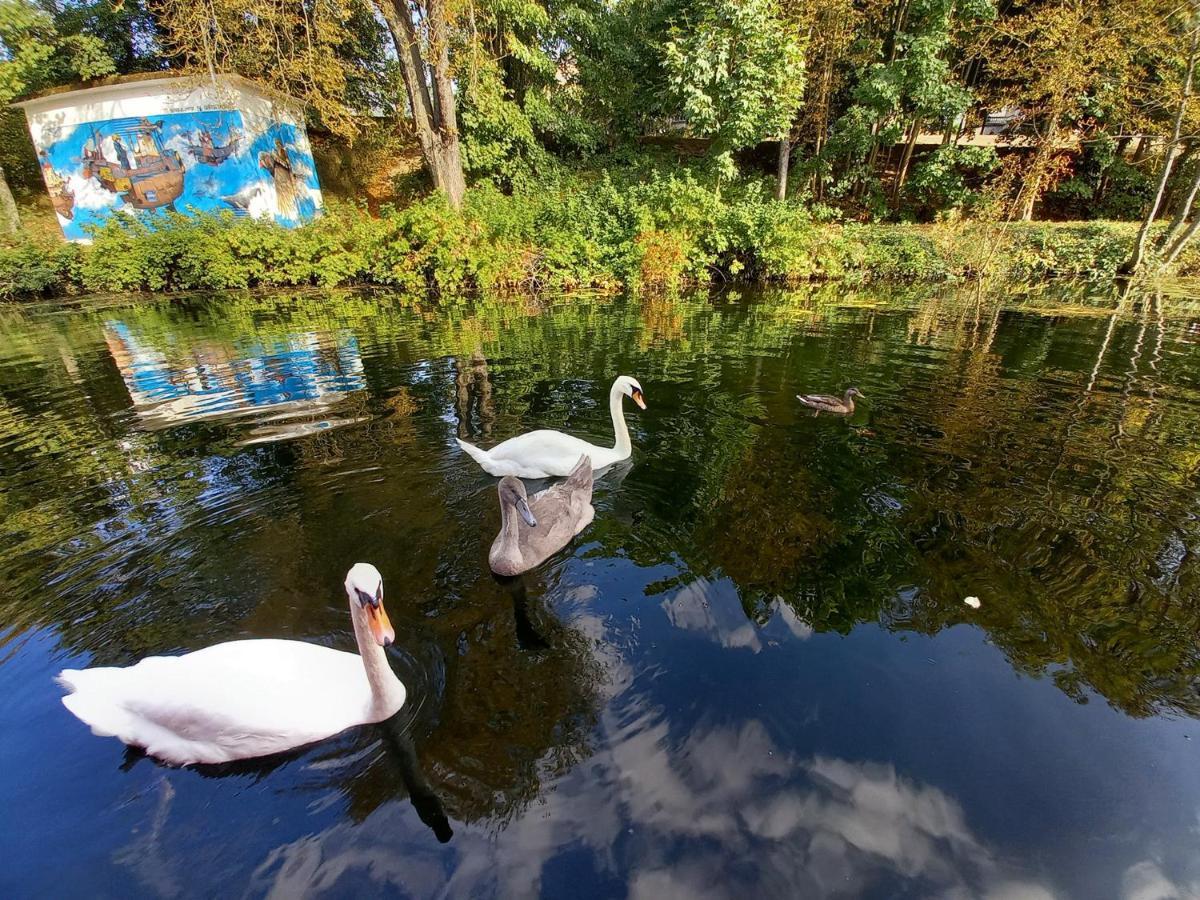 Appartement Atypique Independant Sur Peniche Metz Dış mekan fotoğraf