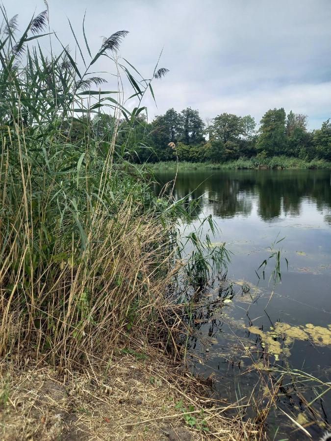 Appartement Atypique Independant Sur Peniche Metz Dış mekan fotoğraf