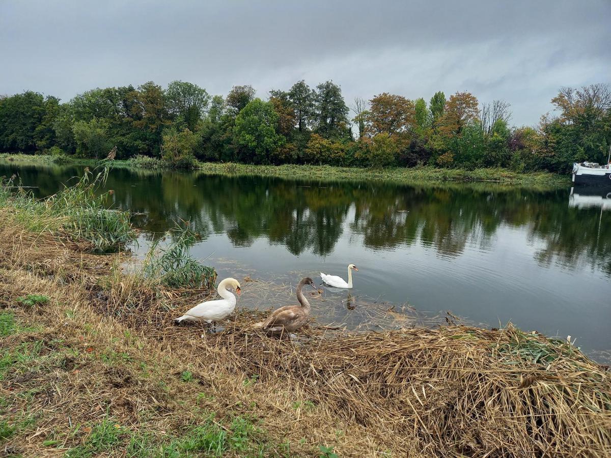 Appartement Atypique Independant Sur Peniche Metz Dış mekan fotoğraf