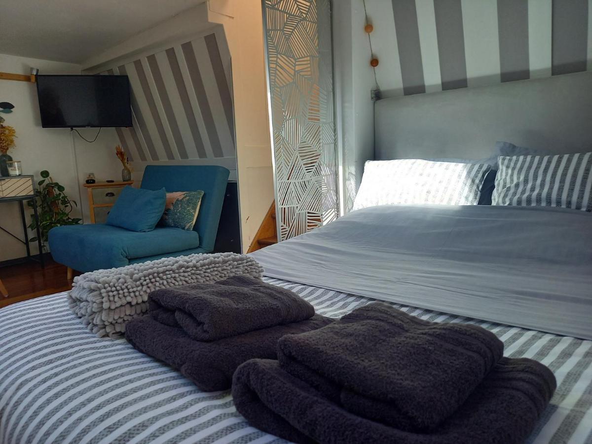 Appartement Atypique Independant Sur Peniche Metz Dış mekan fotoğraf